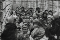 Сьогодні Міжнародний день пам'яті жертв Голокосту Фото